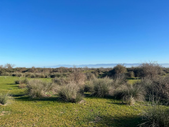 بازدید دانشجوان دانشکده زیست فناوری از پناهگاه حیات وحش میانکاله