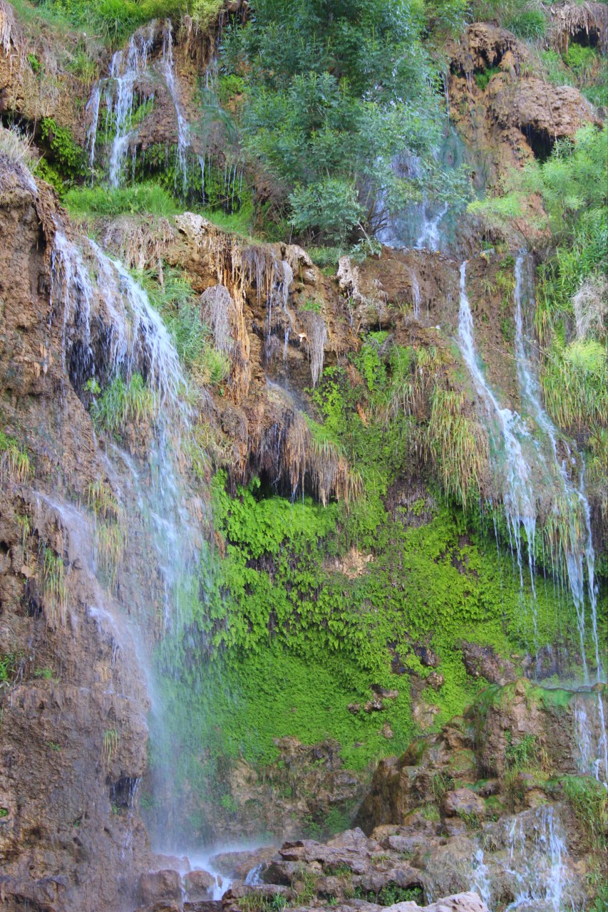 اردوی علمی و فرهنگی (قم - جمکران - کاشان - ابیانه)