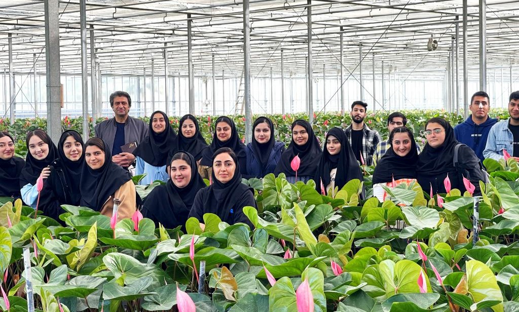 بازدید دانشجویان رشته گیاهان دارویی دانشگاه تخصصی فناوری های نوین آمل از گلخانه پرورش آنتریوم رویش
