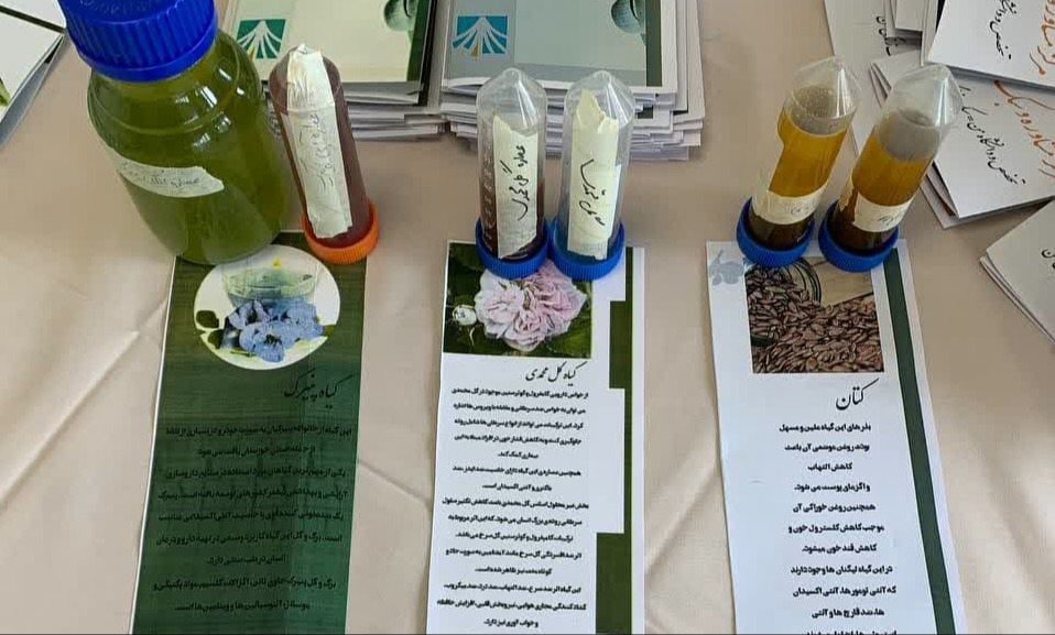 The Establishment of an Exhibition of Products and Achievements of the Scientific Association of the Faculty of Medicinal Plants