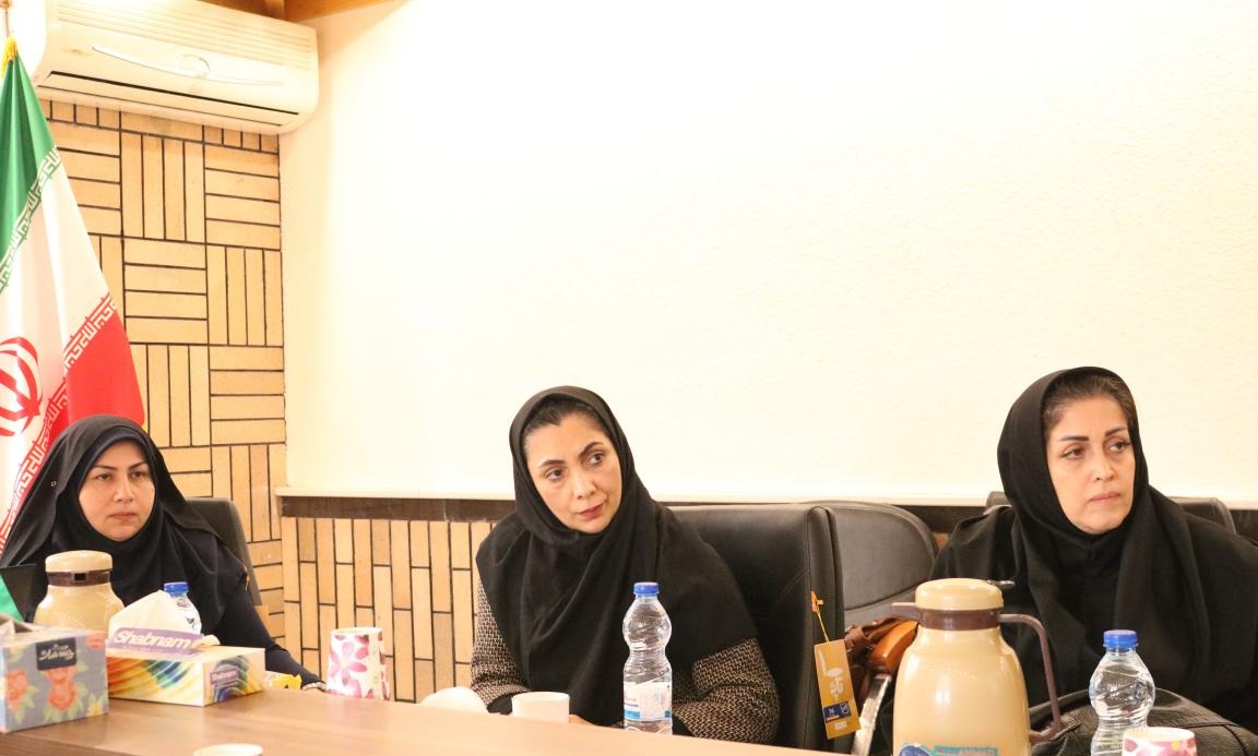 کارگاه تربیت مربی مهارت های زندگی ویژه مشاوران دانشگاه های منطقه دو کشور