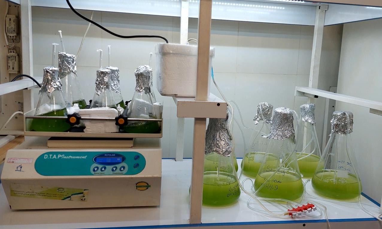 برگزاری دوره تخصصی کشت باکتری، ژنتیک و مهندسی ژنتیک