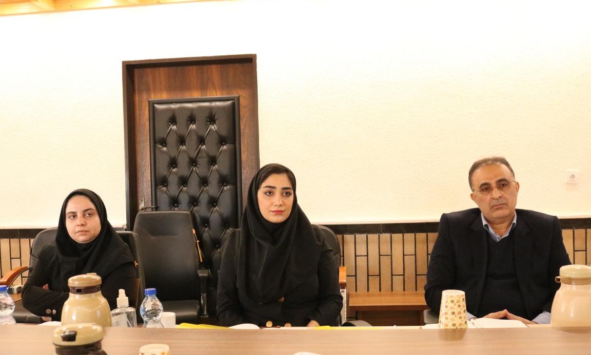 کارگاه تربیت مربی مهارت های زندگی ویژه مشاوران دانشگاه های منطقه دو کشور