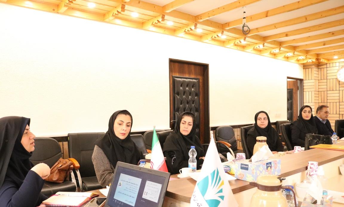 کارگاه تربیت مربی مهارت های زندگی ویژه مشاوران دانشگاه های منطقه دو کشور