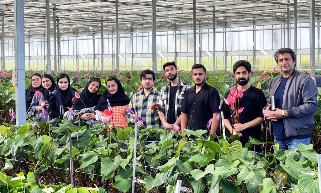 بازدید دانشجویان رشته گیاهان دارویی دانشگاه تخصصی فناوری های نوین آمل از گلخانه پرورش آنتریوم رویش