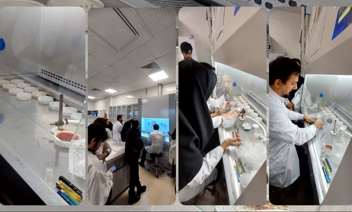 برگزاری دوره تخصصی کشت باکتری، ژنتیک و مهندسی ژنتیک