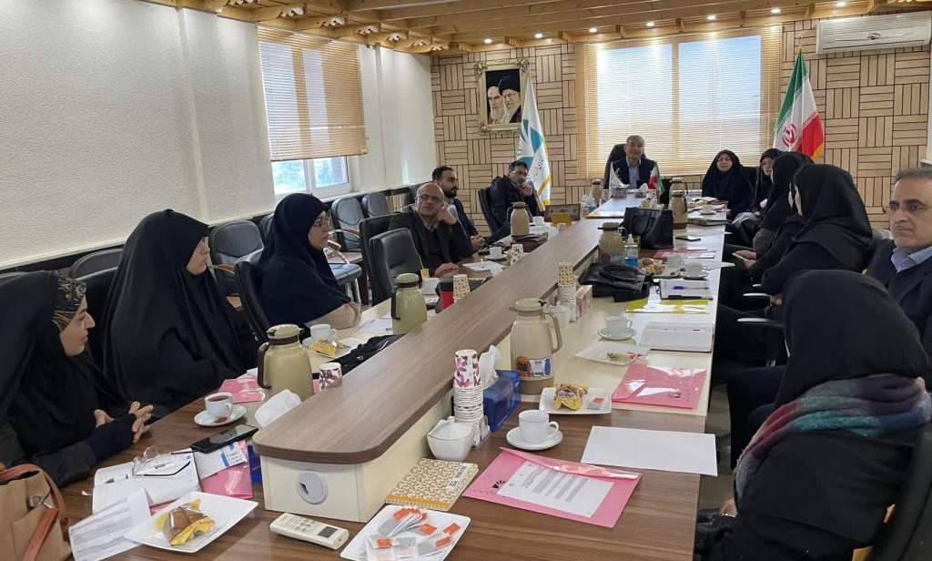 کارگاه تربیت مربی مهارت های زندگی ویژه مشاوران دانشگاه های منطقه دو کشور