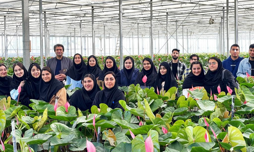 بازدید دانشجویان رشته گیاهان دارویی دانشگاه تخصصی فناوری های نوین آمل از گلخانه پرورش آنتریوم رویش