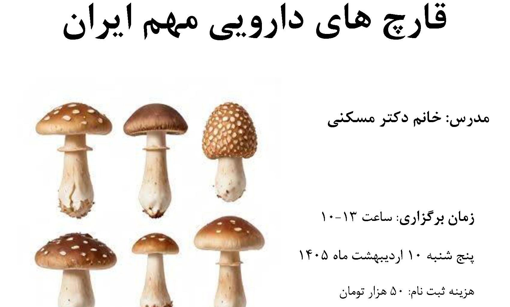 کارگاه آموزشی قارچ های دارویی مهم ایران