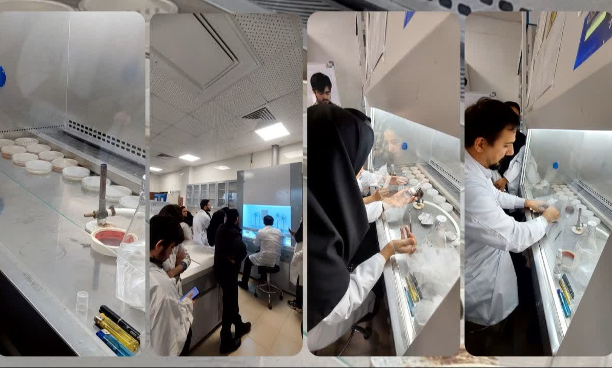 برگزاری دوره تخصصی کشت باکتری، ژنتیک و مهندسی ژنتیک